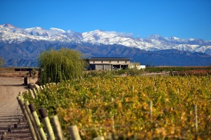 mendoza argentina