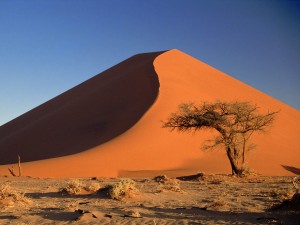 namibijska puščava