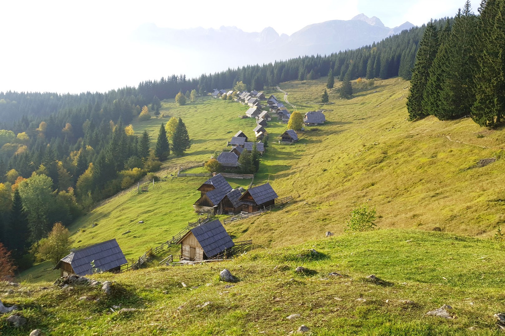 Pokljuka, idilična destinacija za vse letne čase